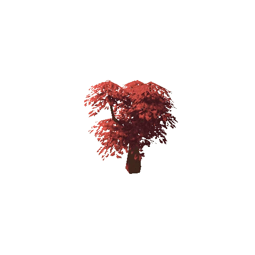 Oak Tree Red Mid 04